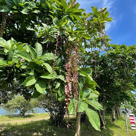 漫調子 Roaming Life B&B 五结 外观 照片